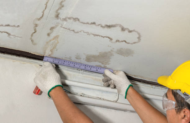 Reliable Flood Cleanup contractor in Sherman, IL by Water Damage Irwin